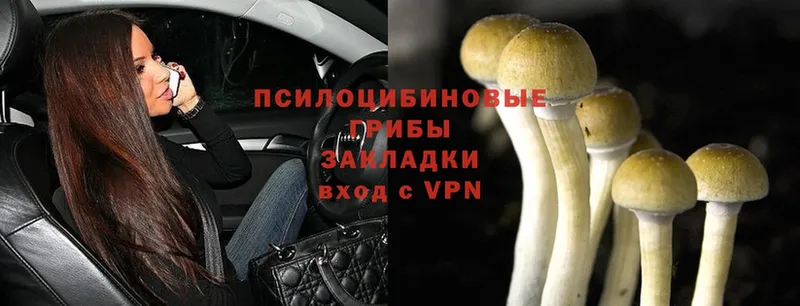 KRAKEN маркетплейс  Завитинск  Псилоцибиновые грибы Psilocybine cubensis 